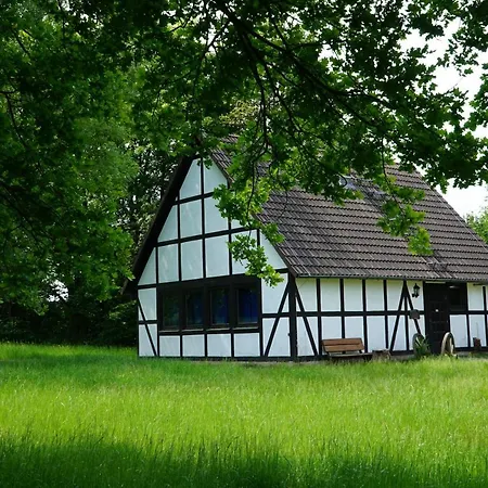 Sippenhaus 4 Im Zentrum Pfadfinden